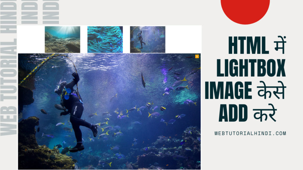 लाइटबॉक्स गैलरी कैसे बनाएँ | How To Create HTML Lightbox Gallery - Web ...