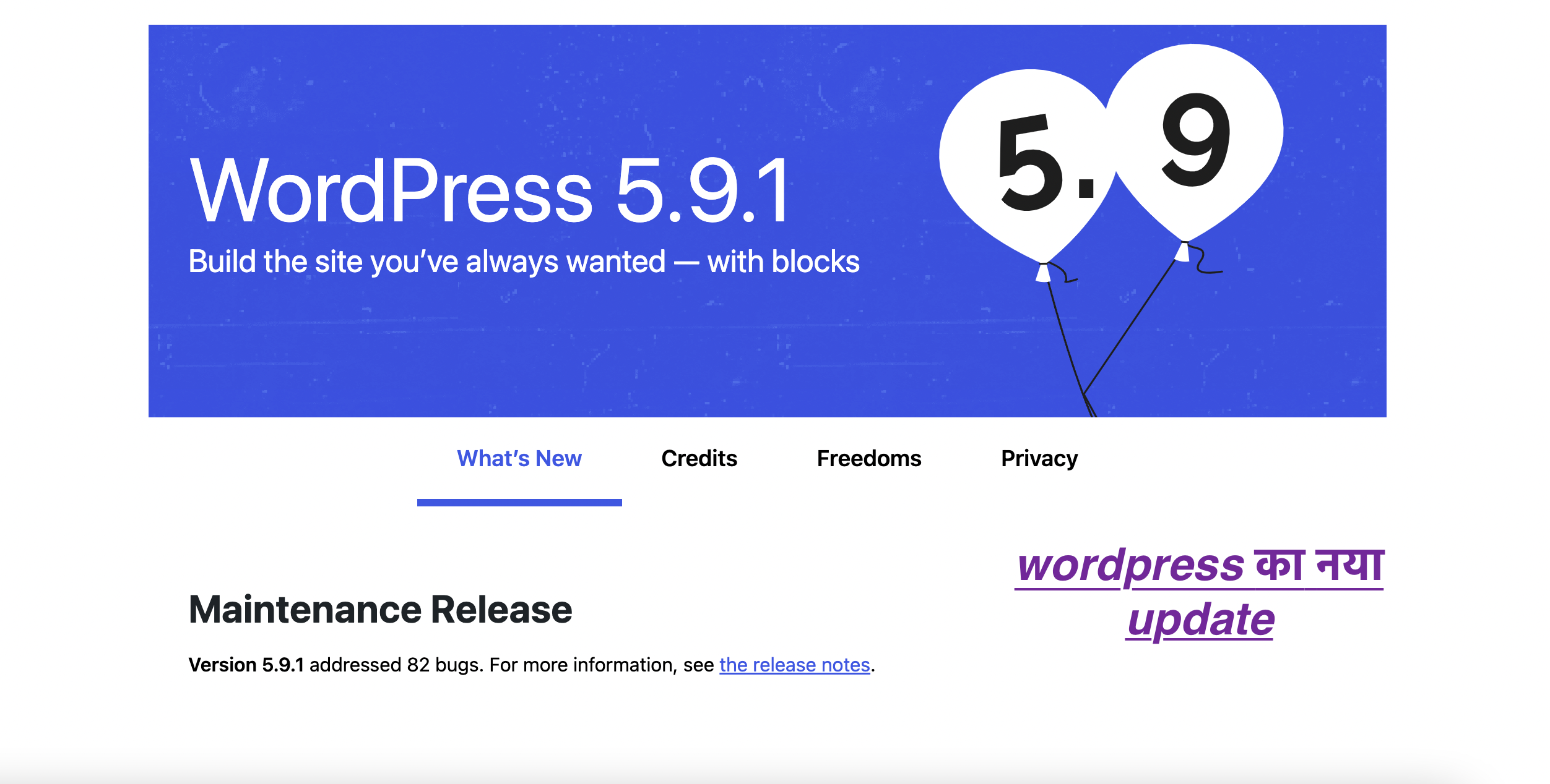 WordPress 5.9.1 update in hindi